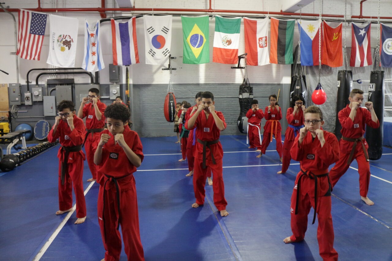 Youth Martial Arts Training Programs Hybrid Martial Arts