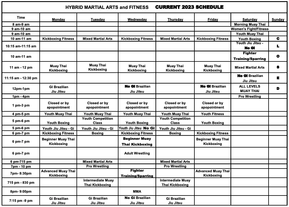2023 Chicago Gym MMA Training Schedule