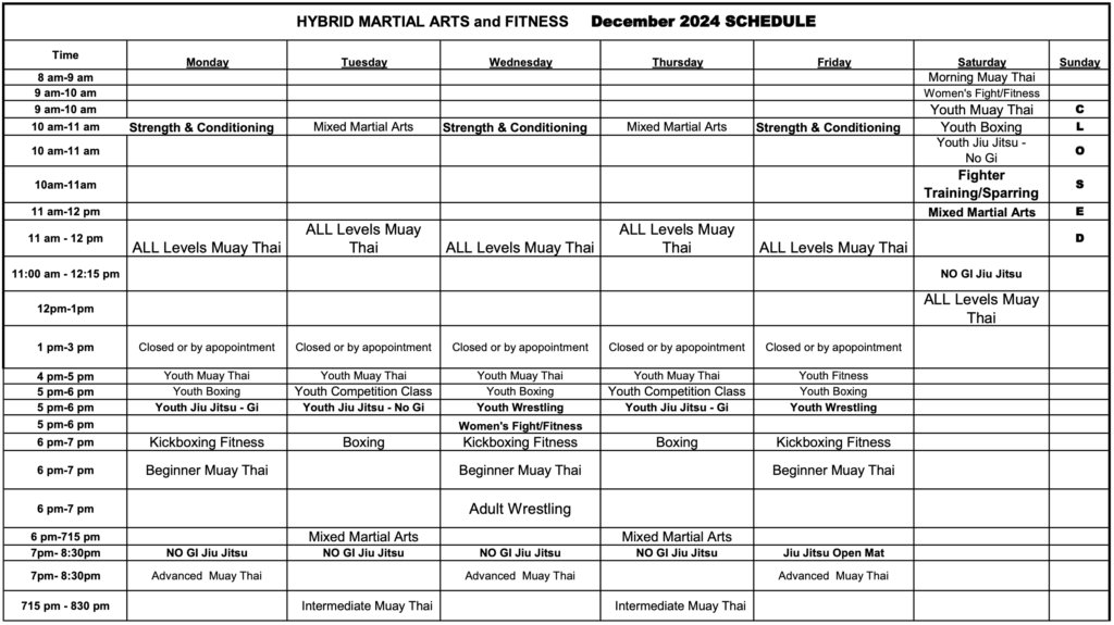 2025 MMA schedule